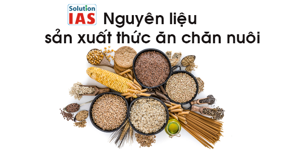 nguyen lieu san xuat thuc an chan nuoi
